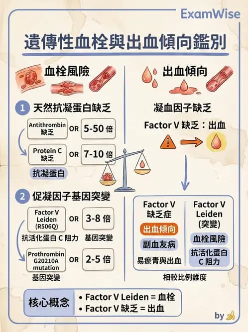 醫檢師 - 血栓性疾病與抗凝治療監測 - AI 圖文解析預覽
