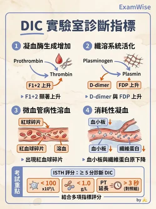 醫檢師 - 出血性疾病與檢驗 - AI 圖文解析預覽