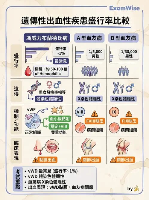 醫檢師 - 出血性疾病與檢驗 - AI 圖文解析預覽