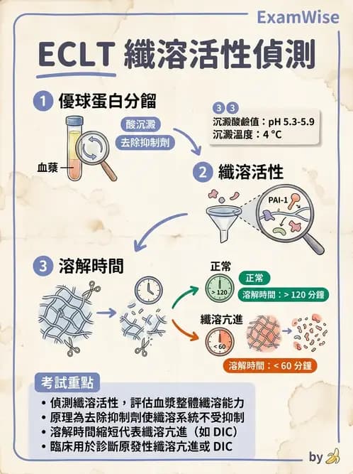 醫檢師 - 凝血因子與凝血檢驗 - AI 圖文解析預覽
