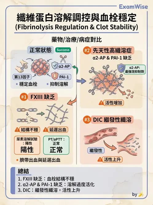 醫檢師 - 出血性疾病與檢驗 - AI 圖文解析預覽