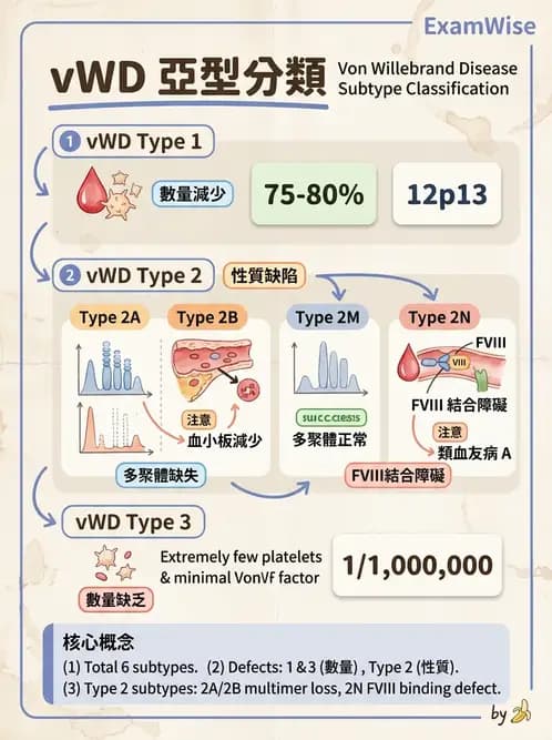 醫檢師 - 出血性疾病與檢驗 - AI 圖文解析預覽