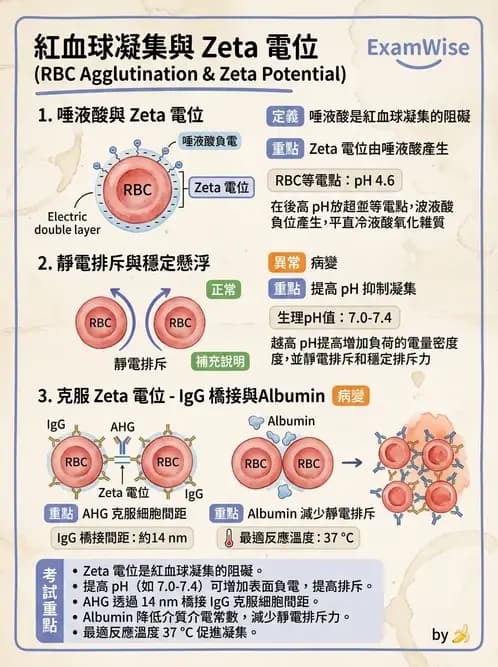 醫檢師 - 血液成分製備與輸血檢查 - AI 圖文解析預覽