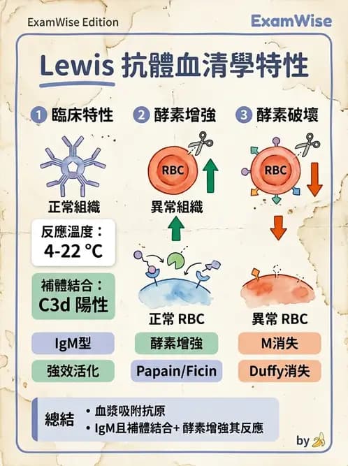 醫檢師 - 紅血球抗原與血型系統 - AI 圖文解析預覽