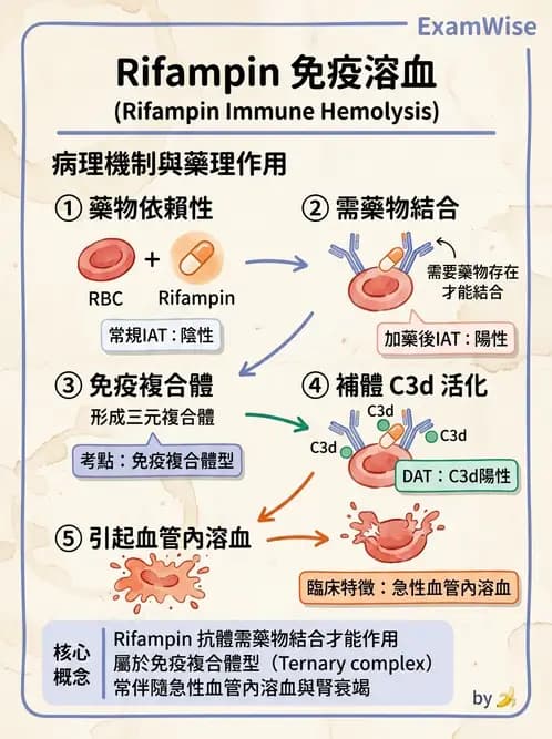 醫檢師 - 輸血反應與血庫品管 - AI 圖文解析預覽
