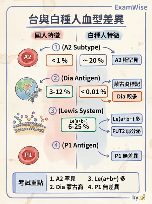 醫檢師 - 紅血球抗原與血型系統 - AI 圖文解析預覽