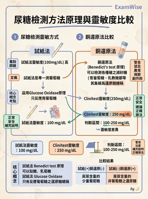 醫檢師 - 尿液化學檢驗 - AI 圖文解析預覽