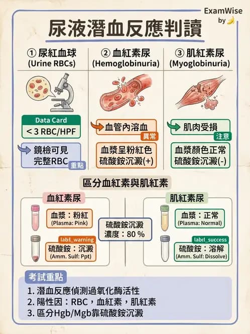 醫檢師 - 尿液化學檢驗 - AI 圖文解析預覽
