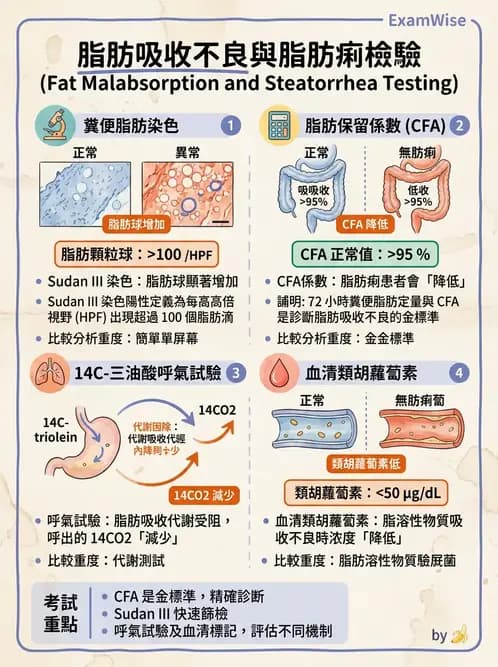 醫檢師 - 糞便常規檢查 - AI 圖文解析預覽