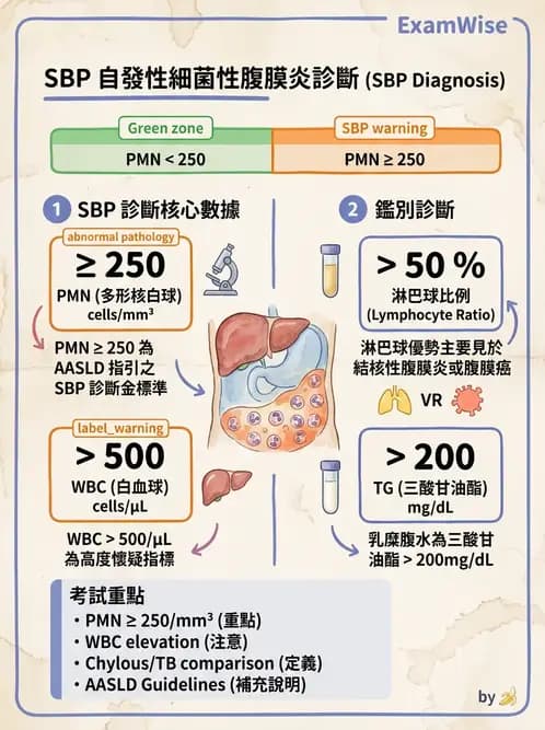 醫檢師 - 穿刺液檢查 - AI 圖文解析預覽
