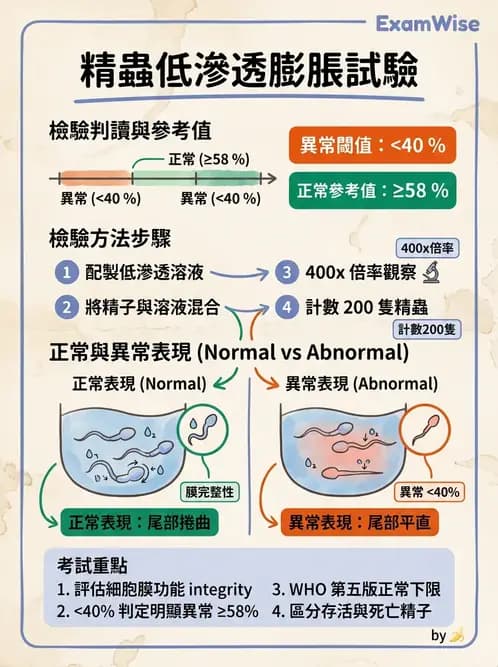醫檢師 - 精液檢查 - AI 圖文解析預覽