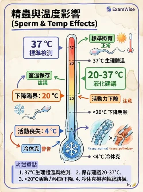 醫檢師 - 精液檢查 - AI 圖文解析預覽