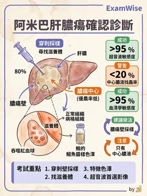醫檢師 - 寄生蟲檢查-原蟲類 - AI 圖文解析預覽
