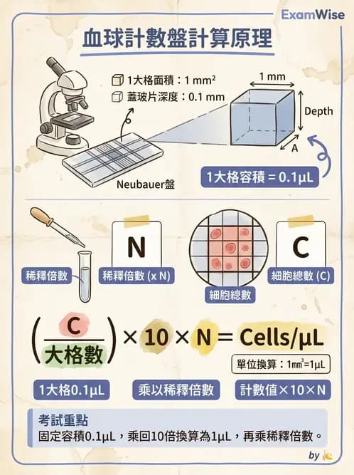醫檢師 - 穿刺液檢查 - AI 圖文解析預覽