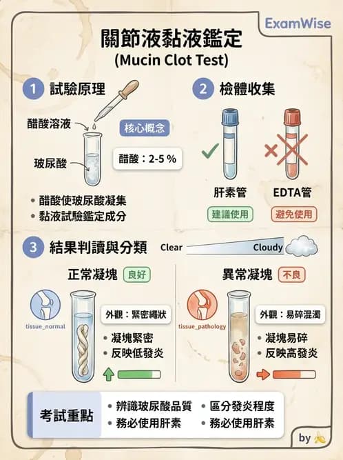醫檢師 - 滑膜液檢查 - AI 圖文解析預覽