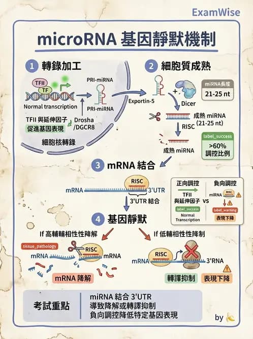 醫檢師 - 基礎分子生物學 - AI 圖文解析預覽