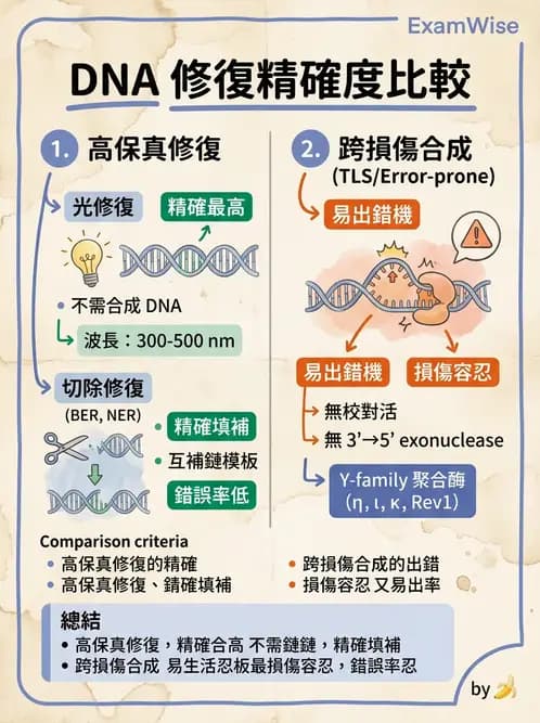 醫檢師 - 基礎分子生物學 - AI 圖文解析預覽