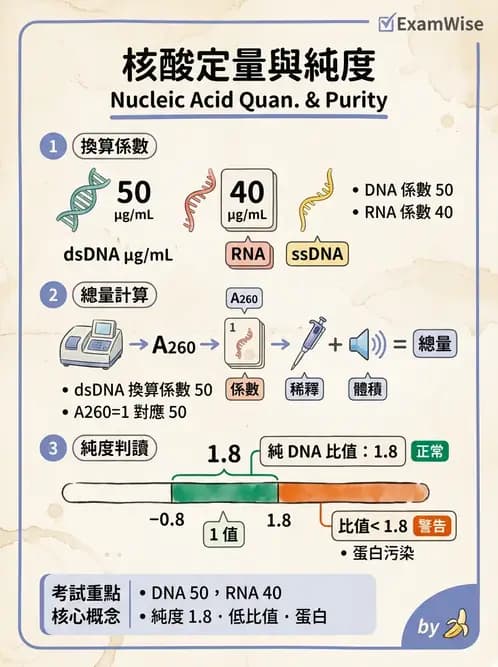 醫檢師 - 核酸擴增與萃取技術 - AI 圖文解析預覽