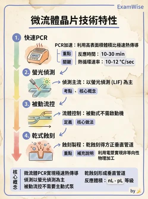 醫檢師 - 分子鑑定與應用技術 - AI 圖文解析預覽