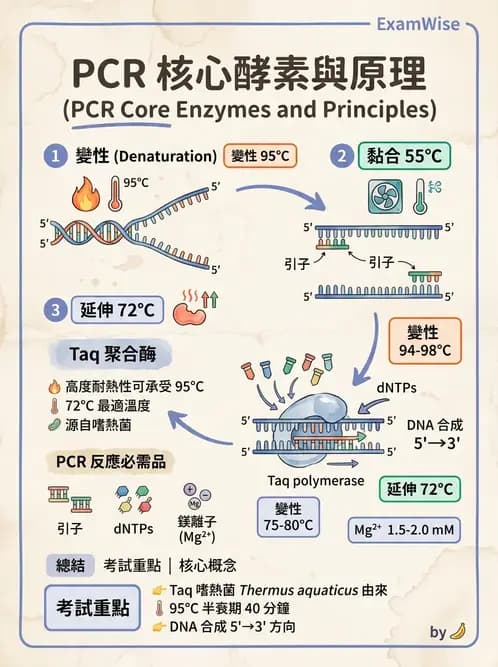 醫檢師 - 核酸擴增與萃取技術 - AI 圖文解析預覽