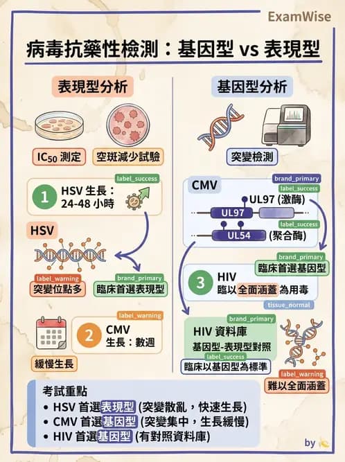 醫檢師 - 藥物相關基因檢測 - AI 圖文解析預覽