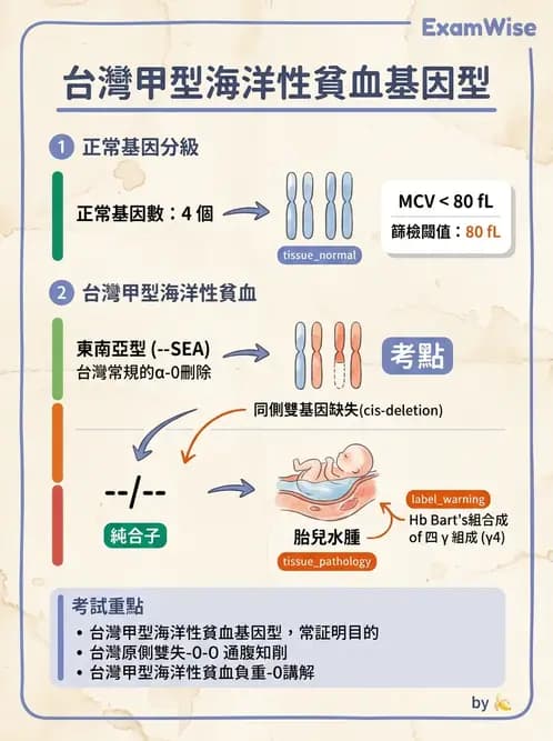 醫檢師 - 遺傳疾病基因檢測 - AI 圖文解析預覽