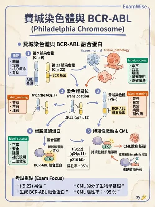 醫檢師 - 腫瘤疾病基因檢測 - AI 圖文解析預覽