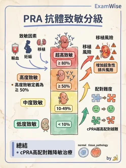 醫檢師 - 分子鑑定與應用技術 - AI 圖文解析預覽