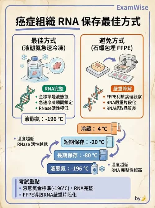醫檢師 - 分子檢驗品質管理 - AI 圖文解析預覽