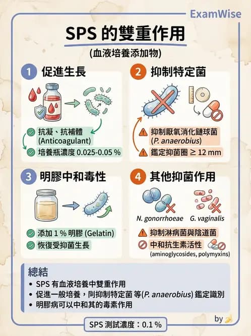 醫檢師 - 檢驗基礎技術 - AI 圖文解析預覽