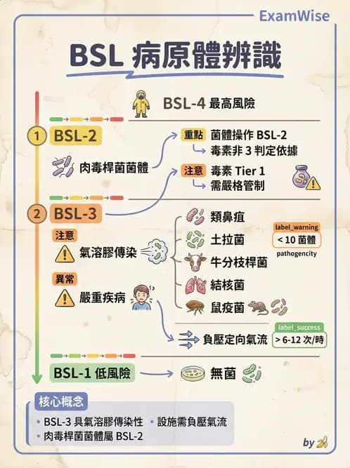 醫檢師 - 實驗室安全與微生物特性 - AI 圖文解析預覽