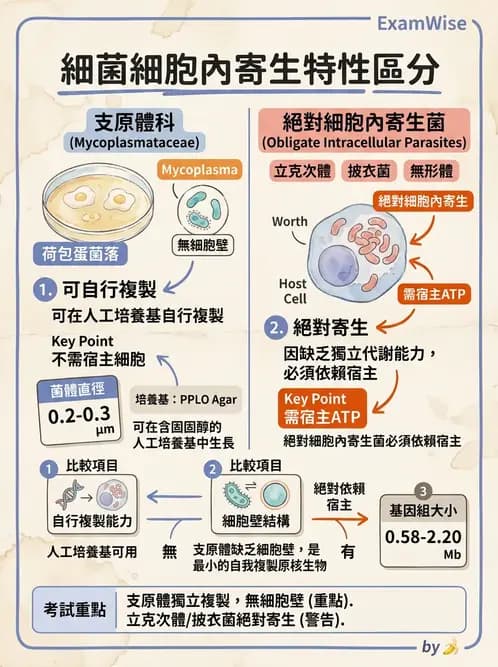 醫檢師 - 特殊病原體 - AI 圖文解析預覽