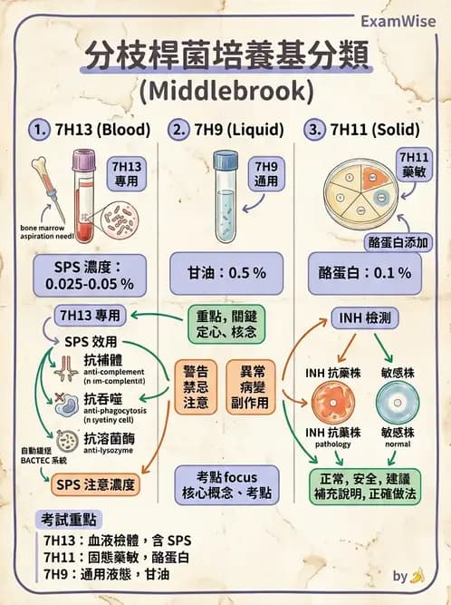 醫檢師 - 分枝桿菌 - AI 圖文解析預覽