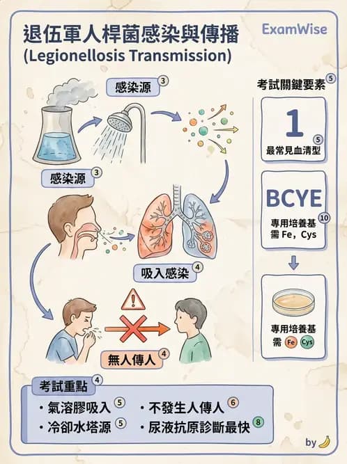醫檢師 - 奈瑟菌與挑剔性革蘭氏陰性菌 - AI 圖文解析預覽