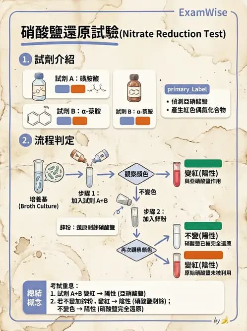 醫檢師 - 檢驗基礎技術 - AI 圖文解析預覽