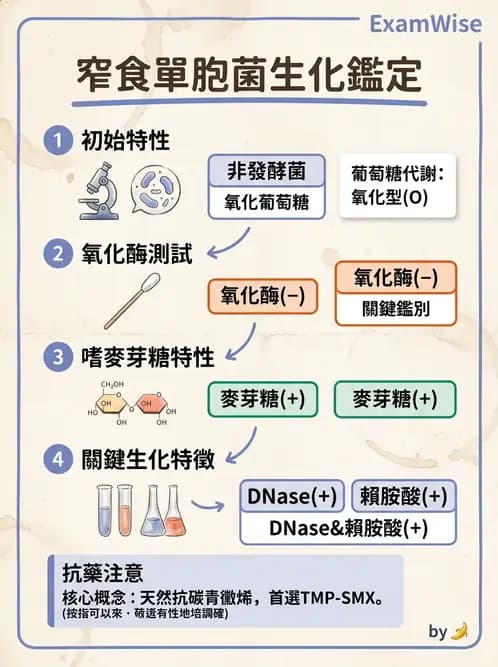 醫檢師 - 非發酵菌 - AI 圖文解析預覽
