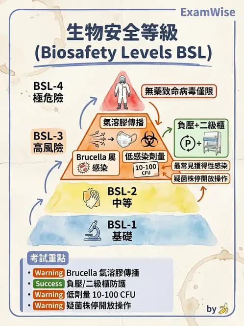 醫檢師 - 實驗室安全與微生物特性 - AI 圖文解析預覽