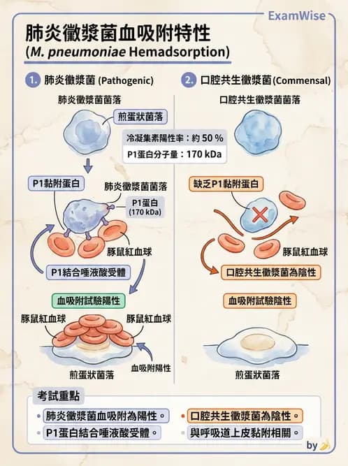 醫檢師 - 特殊病原體 - AI 圖文解析預覽