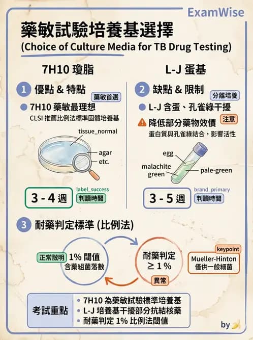 醫檢師 - 藥敏試驗方法 - AI 圖文解析預覽