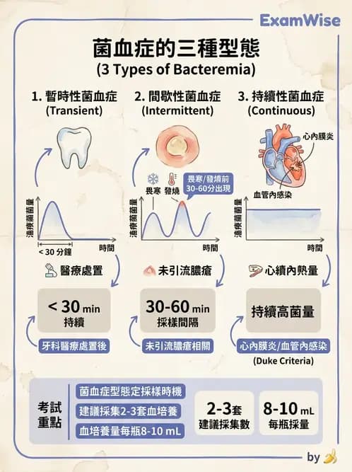 醫檢師 - 感染症與院內感染 - AI 圖文解析預覽