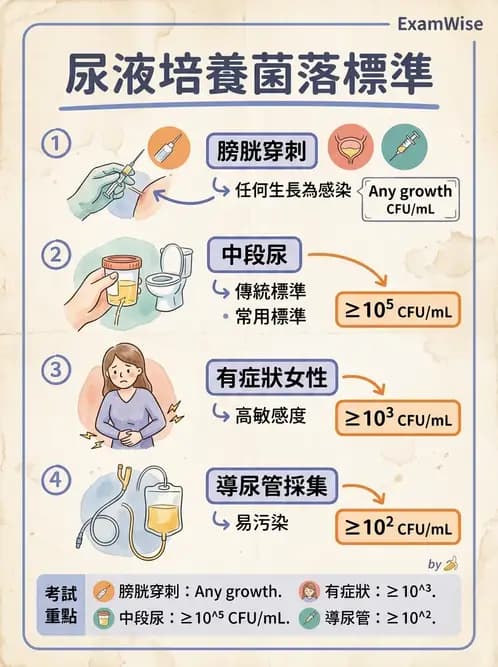 醫檢師 - 感染症與院內感染 - AI 圖文解析預覽