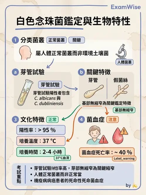 醫檢師 - 系統性與機會性真菌感染 - AI 圖文解析預覽