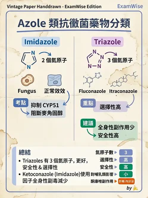 醫檢師 - 抗微生物製劑 - AI 圖文解析預覽