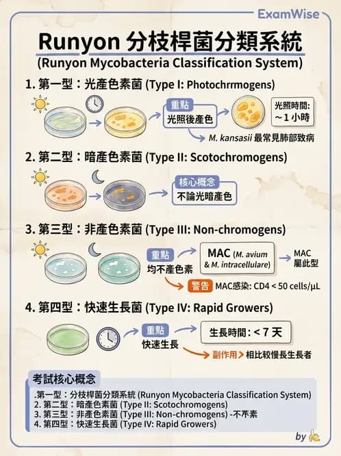 醫檢師 - 分枝桿菌 - AI 圖文解析預覽