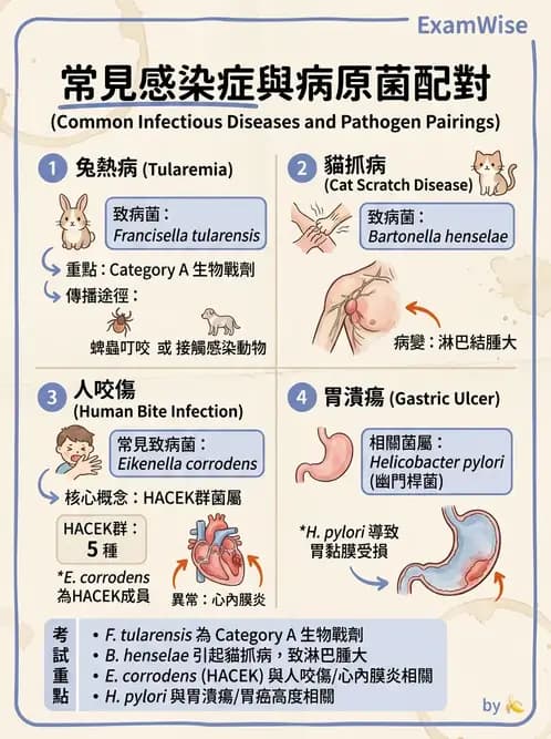 醫檢師 - 綜合性試題 - AI 圖文解析預覽