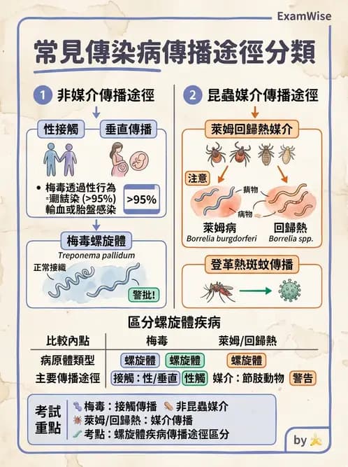 醫檢師 - 感染症與院內感染 - AI 圖文解析預覽