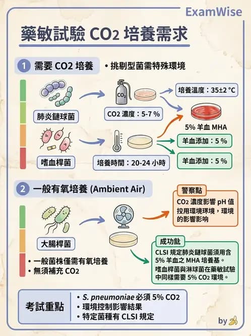 醫檢師 - 藥敏試驗方法 - AI 圖文解析預覽
