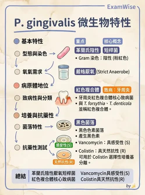 醫檢師 - 厭氧菌 - AI 圖文解析預覽