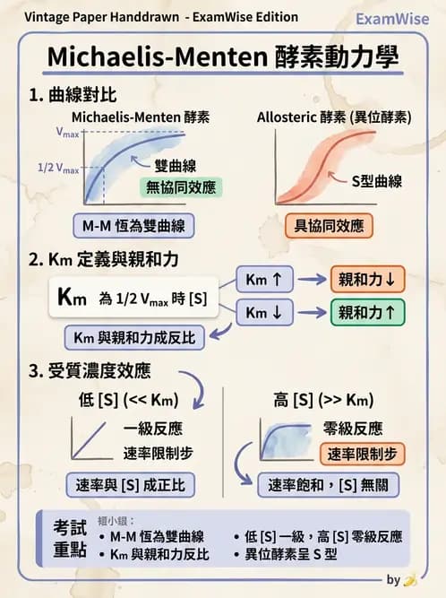 醫檢師 - 臨床酵素學基礎 - AI 圖文解析預覽