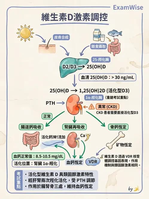 醫檢師 - 維生素 - AI 圖文解析預覽